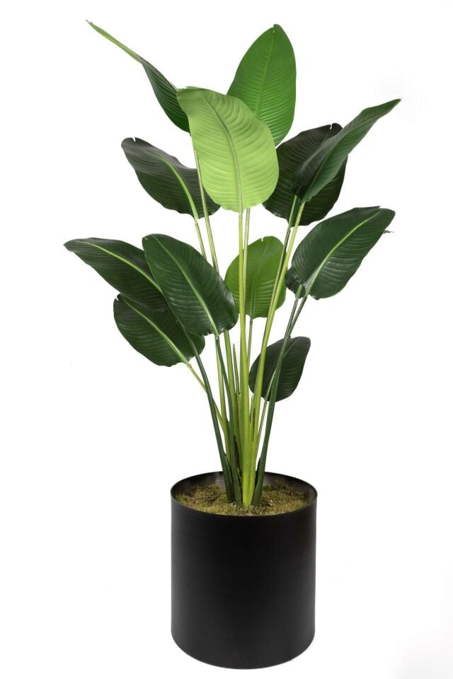 Çinpa Starliçe Real Touch 185 Cm 13Lvs 0106101