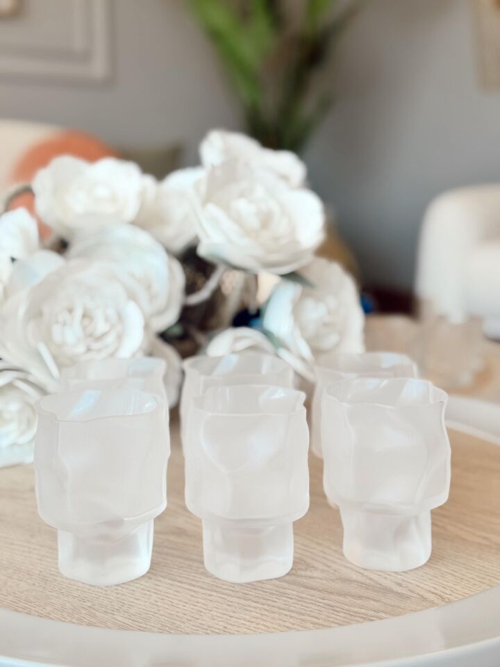 Linanware 6'lı Viski/kokteyl Tasarım Cam/dışı Silikon Kaplı Bardak 200 ml DSG-14