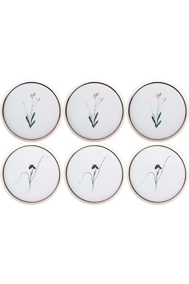 Botanical 6 Kişilik Pasta Takımı 21cm ( Desen 3&4 )