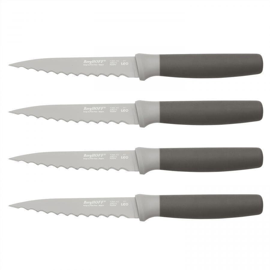 Berghoff Leo 4 Parça Biftek Bıçak Seti 3950046