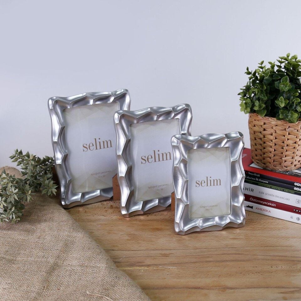 Crearthome Telles 15x20 cm Çerçeve Gümüş SCRV116GMS86RS